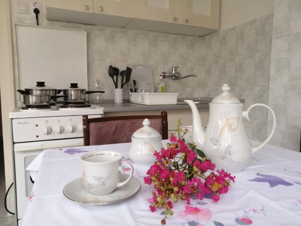 Apartman Nana Jagodina Esterno foto