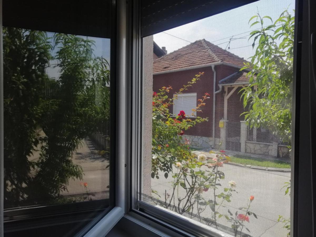 Apartman Nana Jagodina Esterno foto
