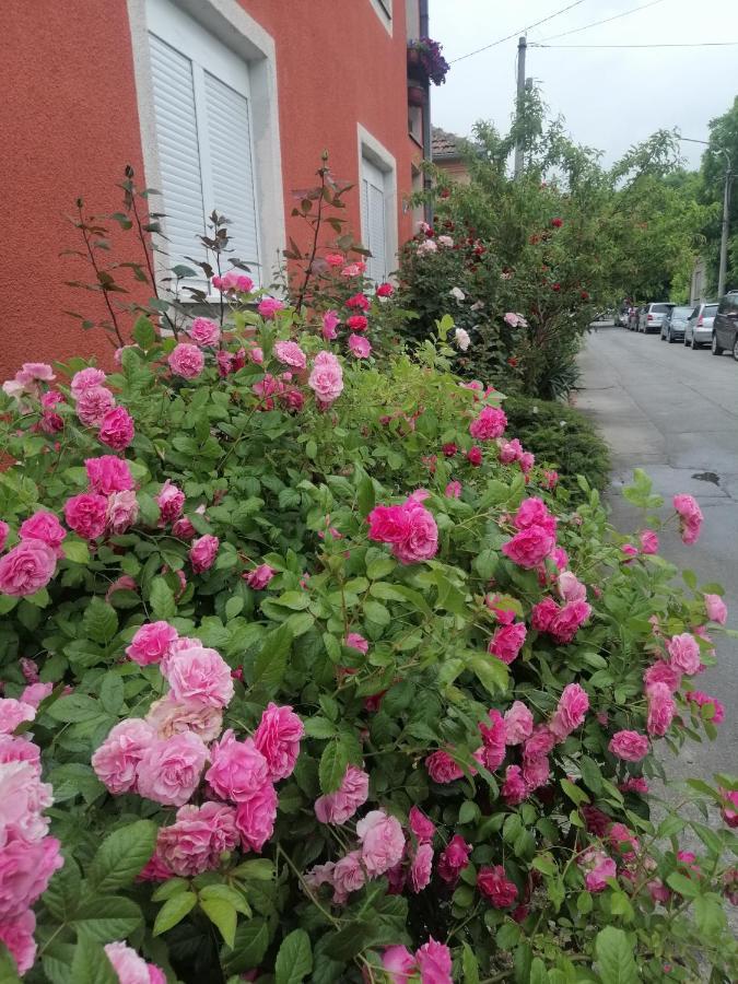 Apartman Nana Jagodina Esterno foto