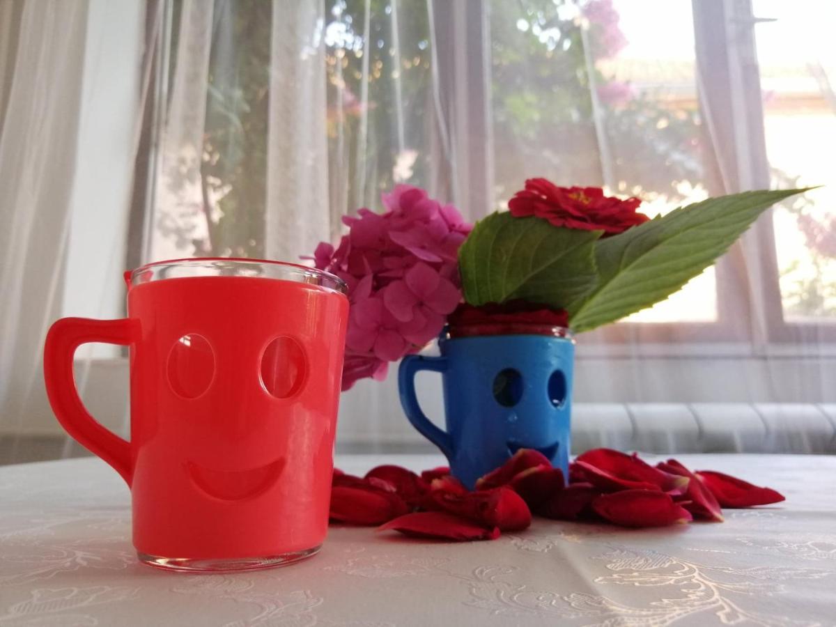 Apartman Nana Jagodina Esterno foto