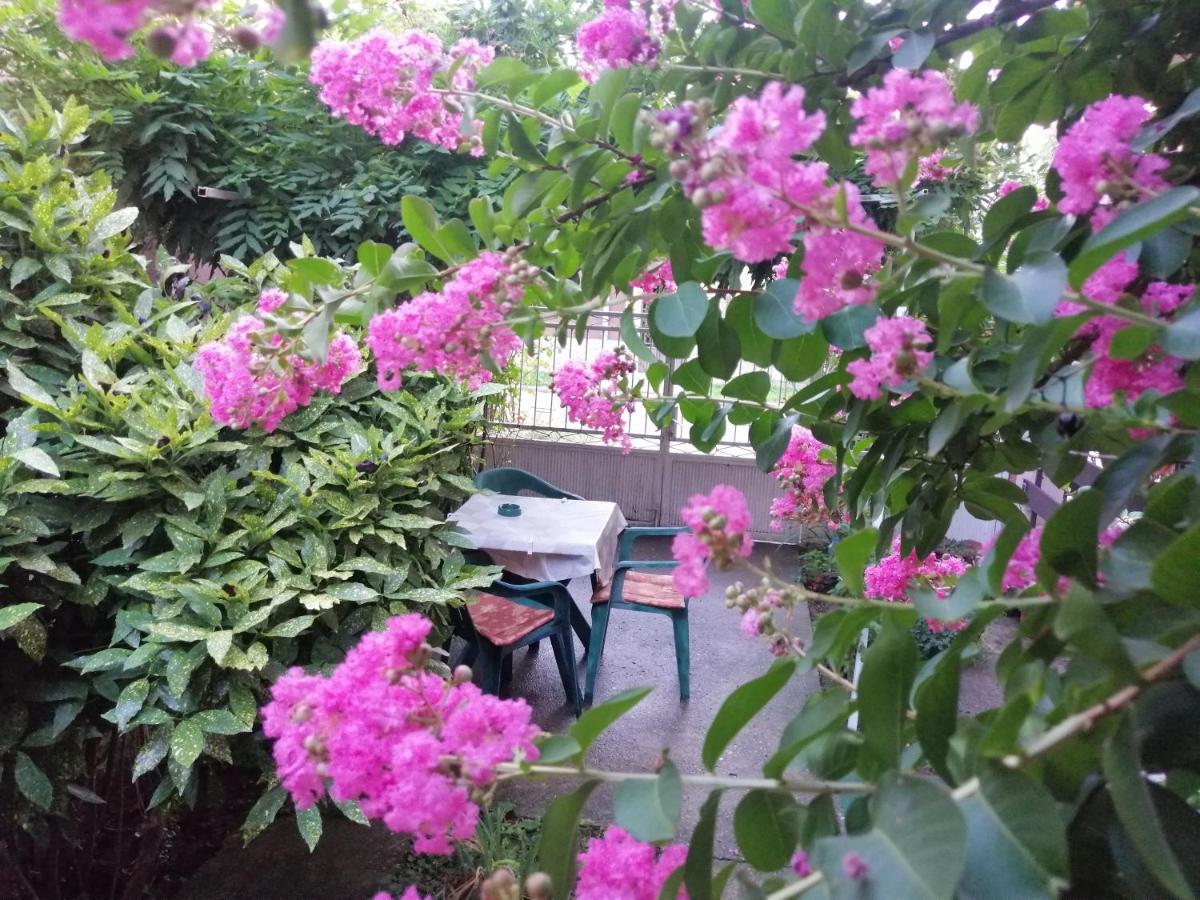 Apartman Nana Jagodina Esterno foto