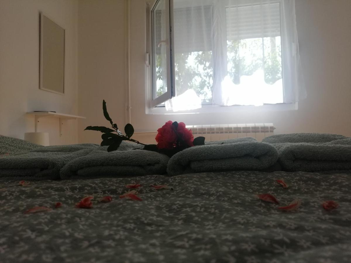 Apartman Nana Jagodina Esterno foto