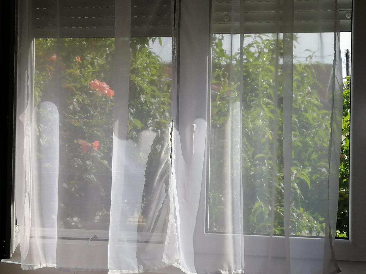 Apartman Nana Jagodina Esterno foto